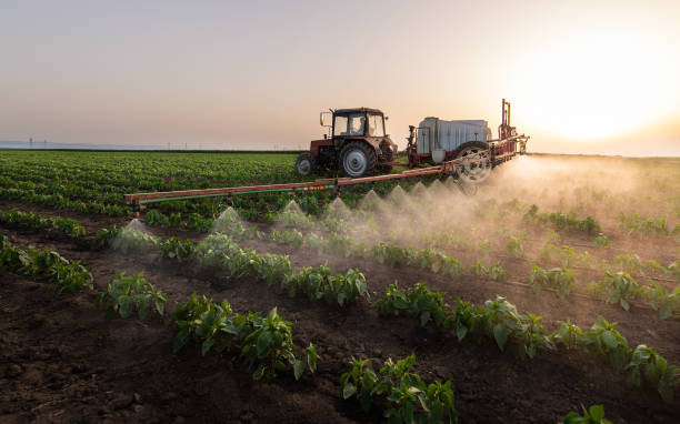 Best Commercial Pest Control Services  in Westlake Vlage, IL