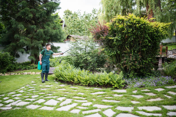 Best Emergency Pest Control  in Westlake Vlage, IL