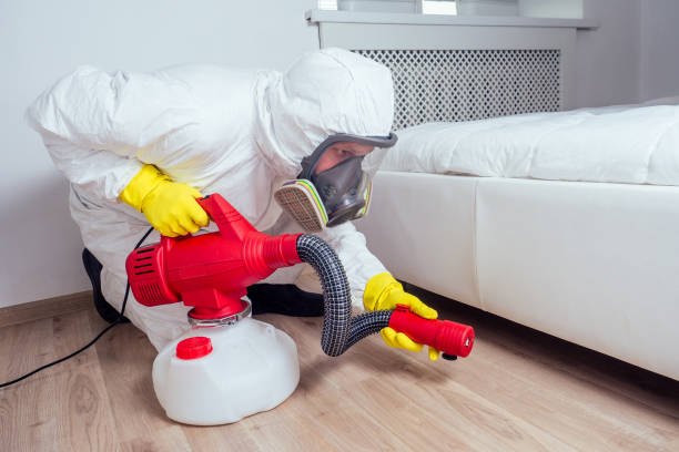 Reliable Westlake Village, IL Pest Control Solutions