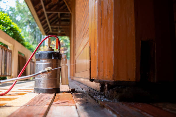 Best Cockroach Control Services  in Westlake Vlage, IL