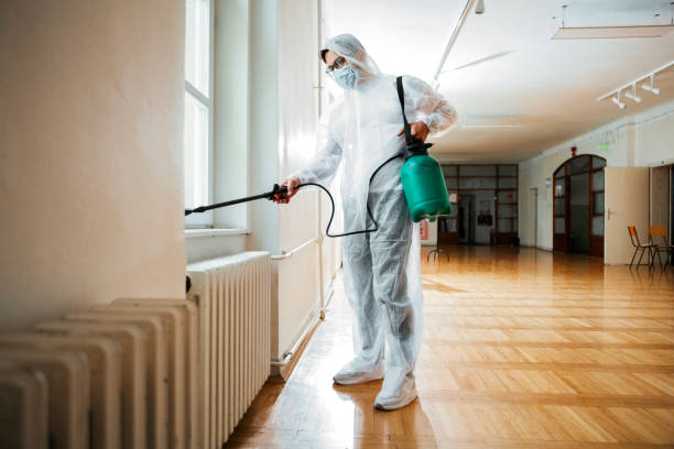 Best Cockroach Control Services  in Westlake Vlage, IL