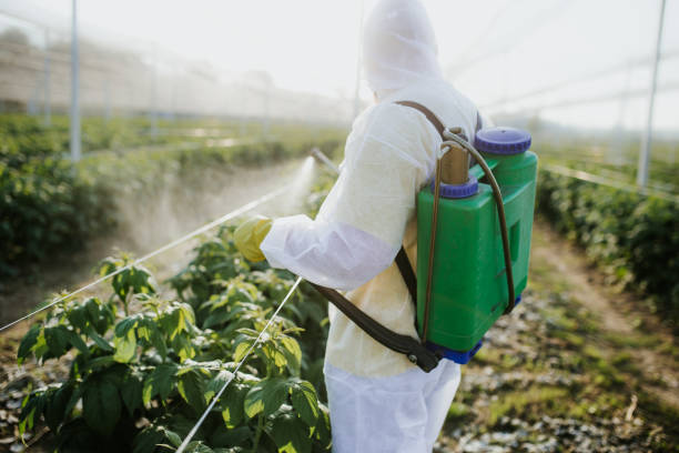 Best Pest Control Near Me  in Westlake Vlage, IL
